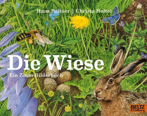 Hans Baltzer: Die Wiese, Buch