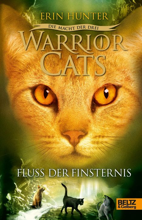 Erin Hunter: Warrior Cats Staffel 3/02. Die Macht der drei. Fluss der Finsternis, Buch