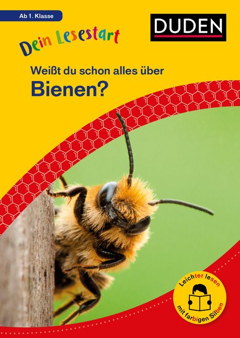 Karolin Küntzel: Dein Lesestart: Weißt du schon alles über Bienen? Ab 1. Klasse, Buch