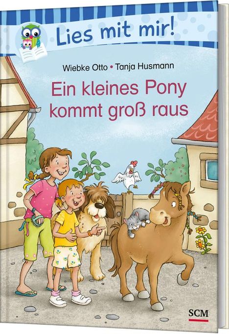 Wiebke Otto: Ein kleines Pony kommt groß raus, Buch