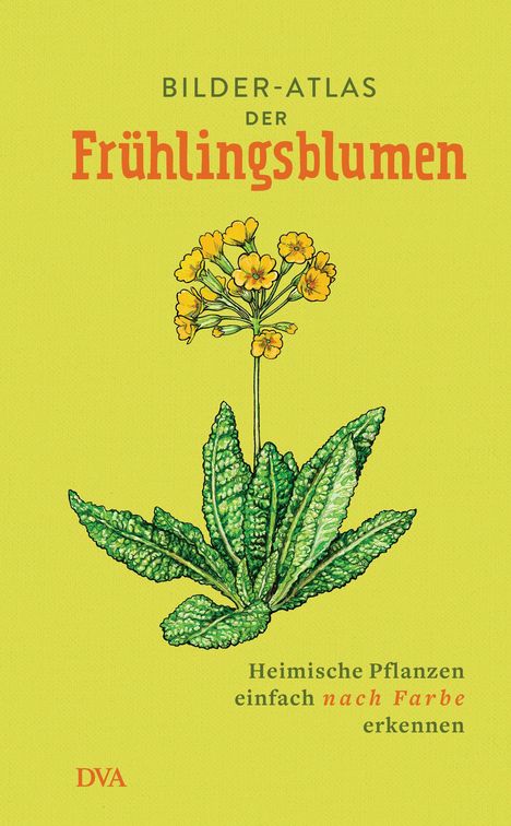 Bilder-Atlas der Frühlingsblumen, Buch