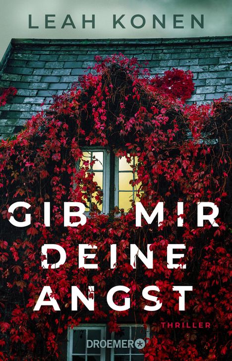 Leah Konen: Gib mir deine Angst, Buch