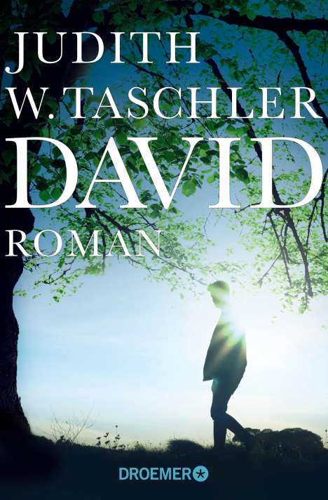 Judith W. Taschler: David, Buch