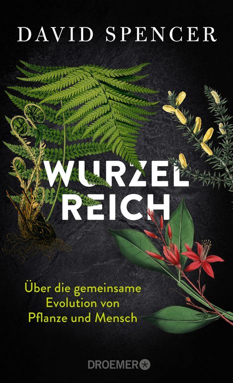 David Spencer: Wurzelreich, Buch