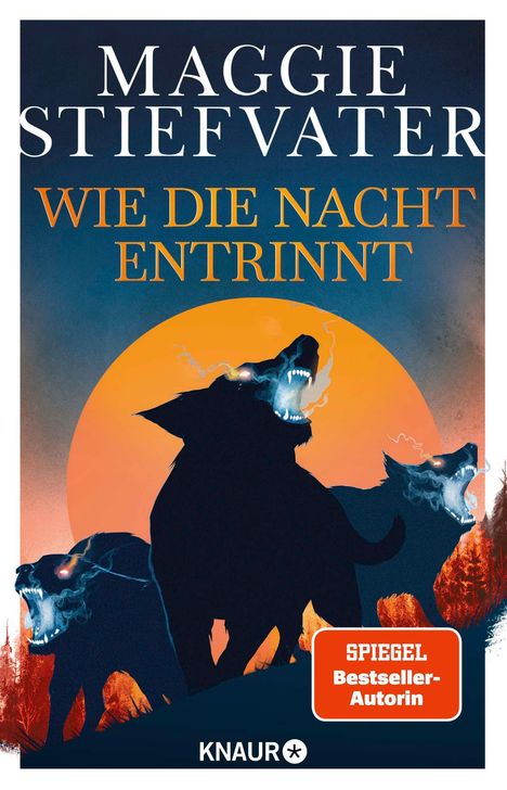 Maggie Stiefvater: Wie die Nacht entrinnt, Buch