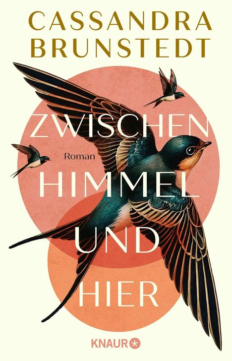 "Cassandra Brunstedt, ZWISCHEN HIMMEL UND HIER, Roman. Drei Schwalben fliegen, große im Vordergrund, helle Hintergründe."