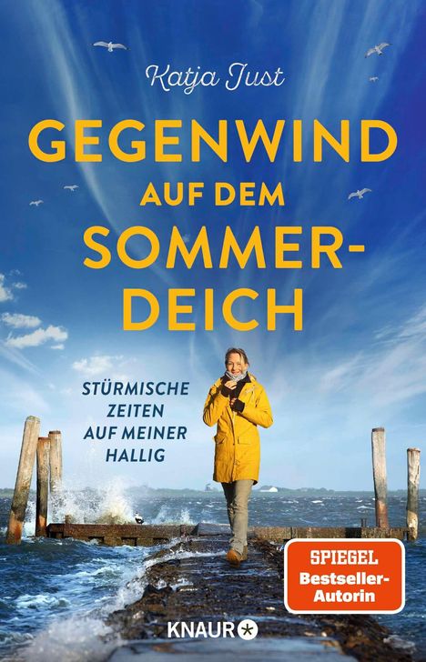 „GEGENWIND AUF DEM SOMMERDEICH“ in gelber Schrift, Sturm auf Deich, Frau im gelben Mantel, Möwen, Meer.