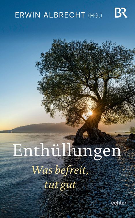 Enthüllungen, Buch