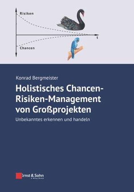 Konrad Bergmeister: Holistisches Chancen-Risiken-Management von Großprojekten, Buch
