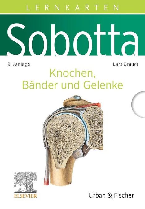 Lars Bräuer: Sobotta Lernkarten Knochen, Bänder und Gelenke, Diverse
