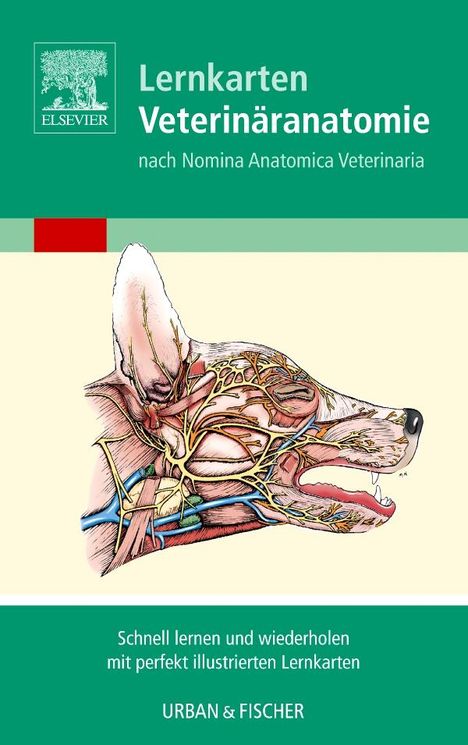 Baljit Singh: Singh, B: Lernkarten Veterinäranatomie/Veterinary Anatomy Fl, Diverse
