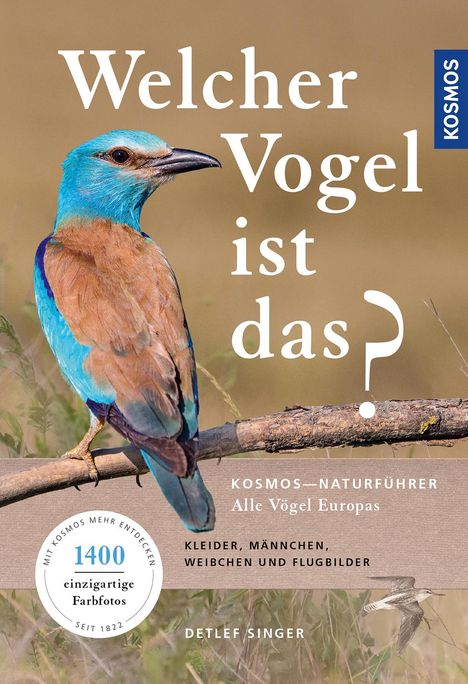 Cover/Produkt Ansicht vergrößern