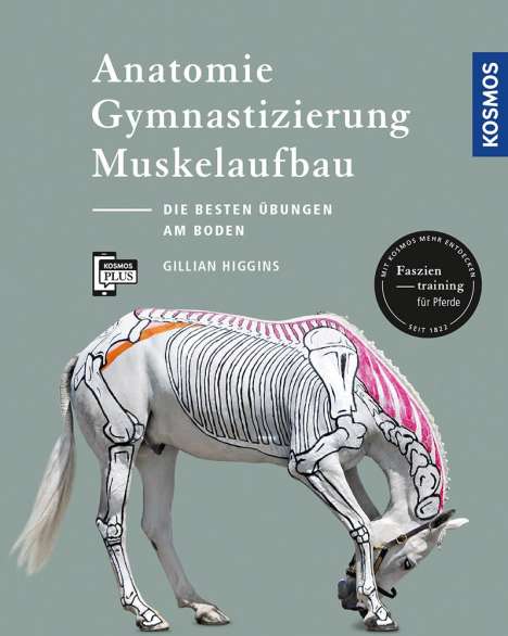Gillian Higgins: Anatomie, Gymnastizierung, Muskelaufbau, Buch