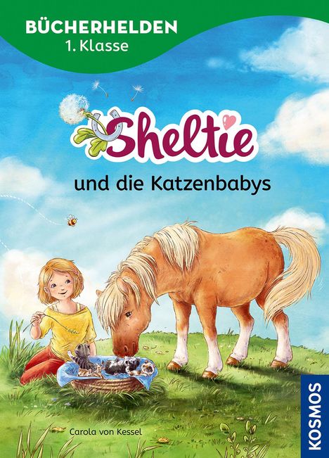 Carola von Kessel: Sheltie, Bücherhelden 1. Klasse, Sheltie und die Katzenbabys, Buch