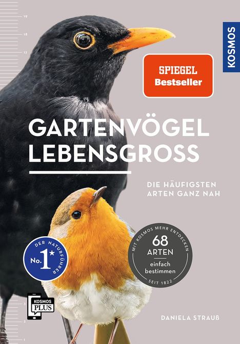Daniela Strauß: Gartenvögel lebensgroß, Buch