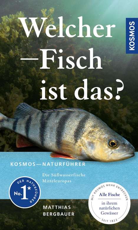 Matthias Bergbauer: Welcher Fisch ist das?, Buch
