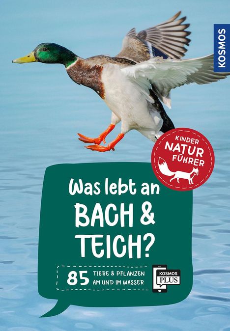 Anita van Saan: Was lebt an Bach und Teich? Kindernaturführer, Buch