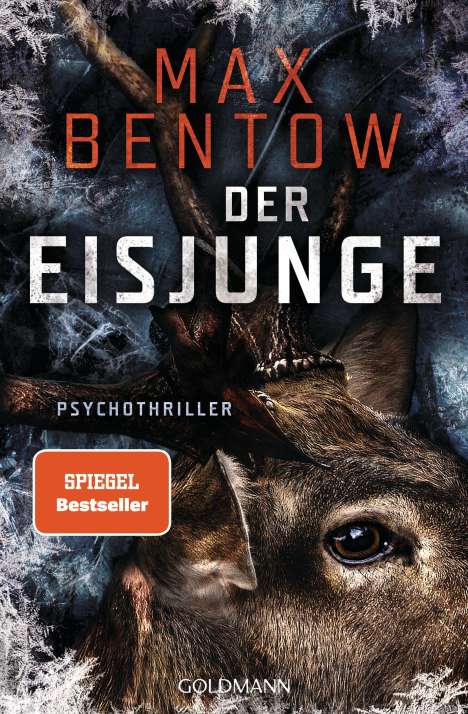 Max Bentow: Der Eisjunge, Buch