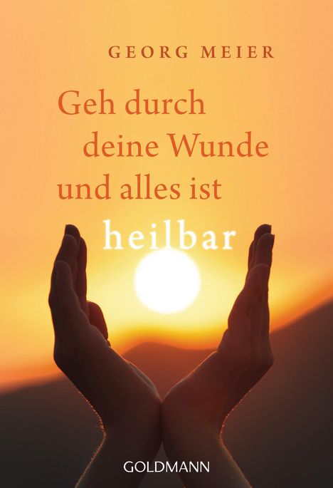 Georg Meier: Geh durch deine Wunde und alles ist heilbar, Buch