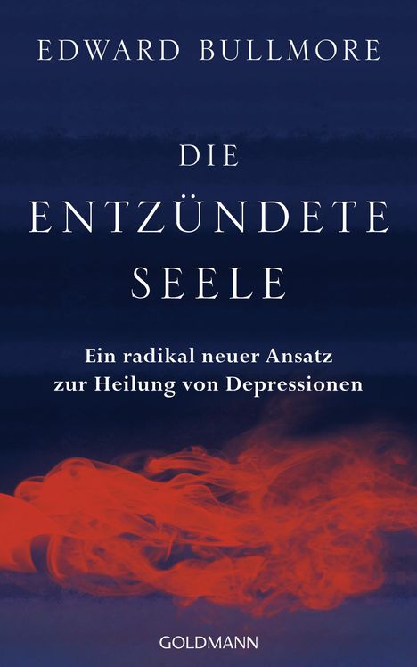 Edward Bullmore: Die entzündete Seele, Buch