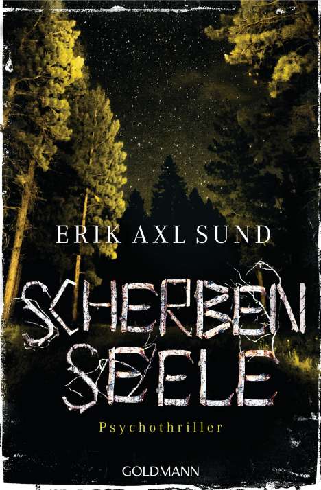 Erik Axl Sund: Scherbenseele, Buch
