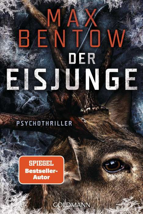 Max Bentow: Der Eisjunge, Buch