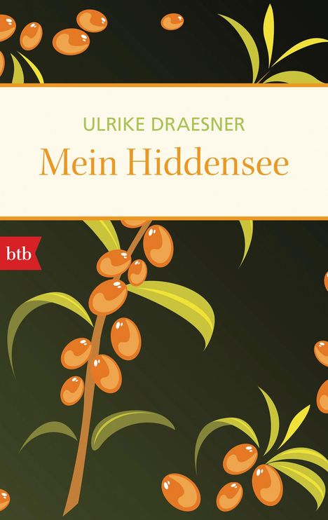 Ulrike Draesner: Mein Hiddensee, Buch