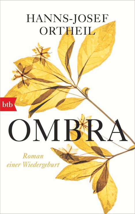 Hanns-Josef Ortheil: Ombra, Buch