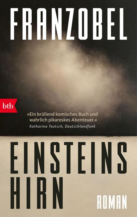 Franzobel: Einsteins Hirn, Buch