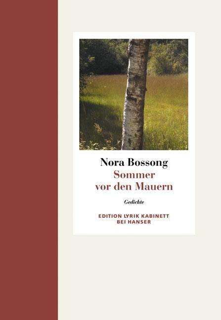 Nora Bossong: Sommer vor den Mauern, Buch