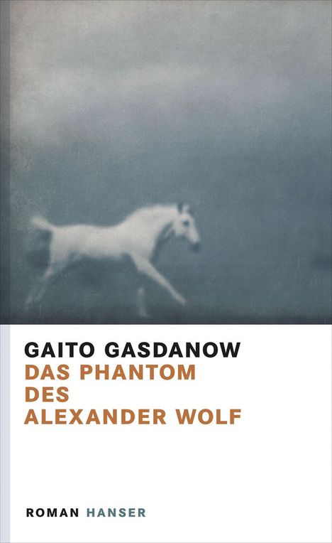 Gaito Gasdanow: Das Phantom des Alexander Wolf, Buch