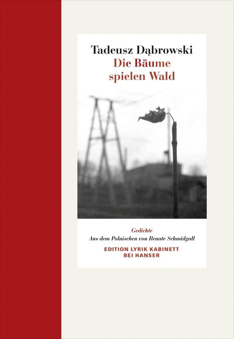 Tadeusz Dabrowski: Die Bäume spielen Wald, Buch