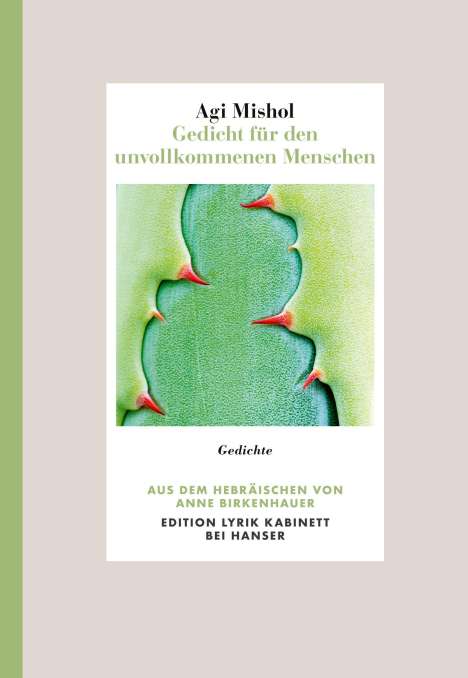 Agi Mishol: Gedicht für den unvollkommenen Menschen, Buch