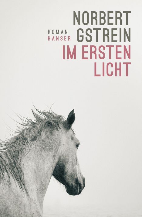 Norbert Gstrein: Im ersten Licht, Buch