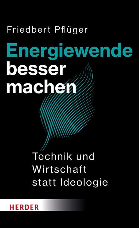 Friedbert Pflüger: Energiewende besser machen, Buch