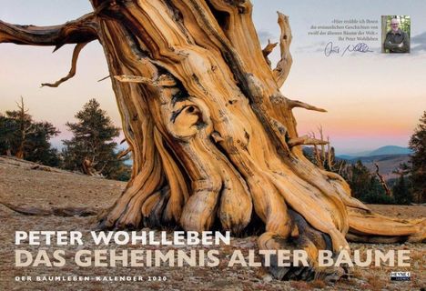 Peter Wohlleben: Der Baumleben-Kalender 2020, Diverse