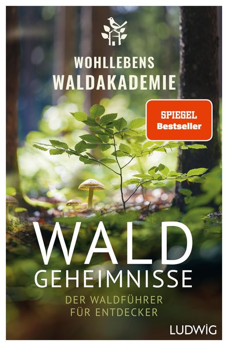 Wohllebens Waldakademie: Waldgeheimnisse, Buch