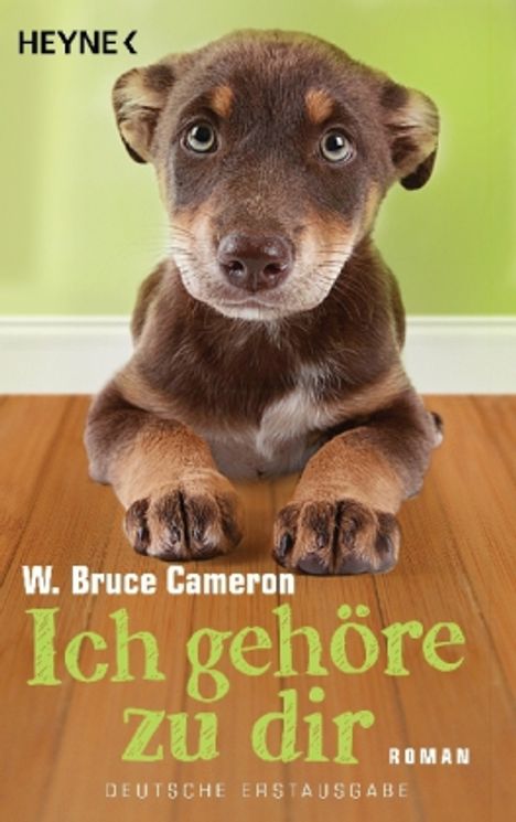 W. Bruce Cameron: Cameron, W: Ich gehöre zu dir, Buch