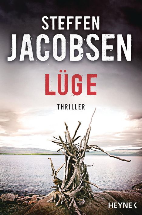 Steffen Jacobsen: Lüge, Buch