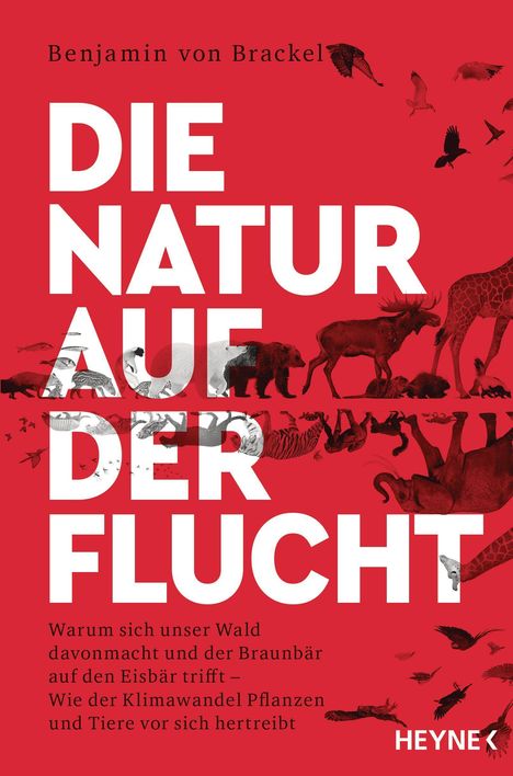 Benjamin von Brackel: Die Natur auf der Flucht, Buch