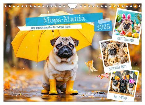 Anja Frost: Mops-Mania - Der Spaßkalender für Mops-Fans (Wandkalender 2025 DIN A4 quer), CALVENDO Monatskalender, Kalender