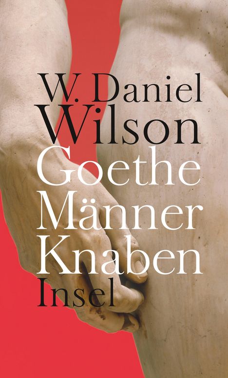 W. Daniel Wilson: Goethe Männer Knaben, Buch