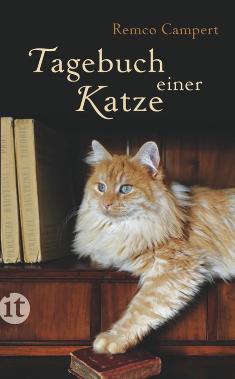 Remco Campert: Tagebuch einer Katze, Buch