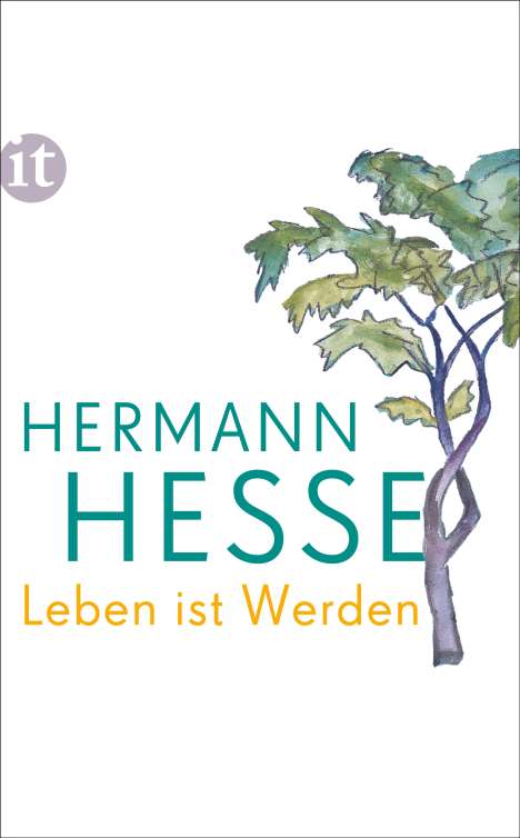 Hermann Hesse: Leben ist Werden, Buch