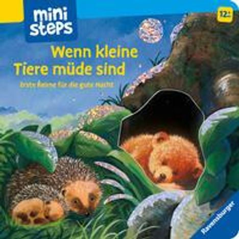 Cover/Produkt Ansicht vergrößern