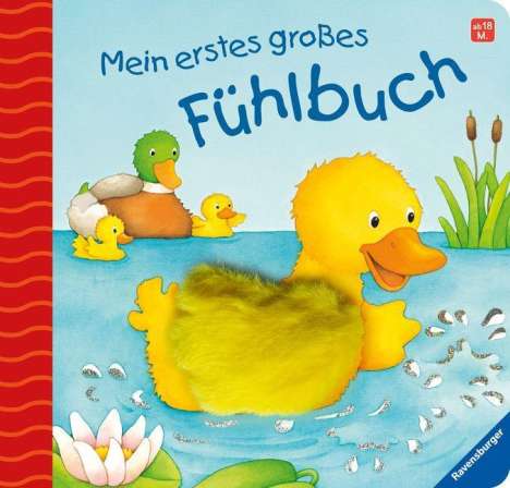 Sandra Grimm: Grimm, S: Mein erstes großes Fühlbuch, Buch