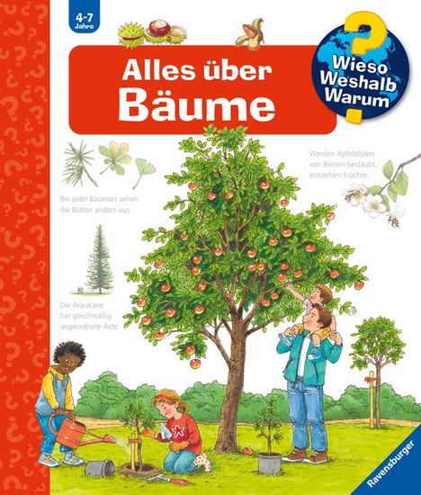 Susanne Gernhäuser: Alles über Bäume, Buch