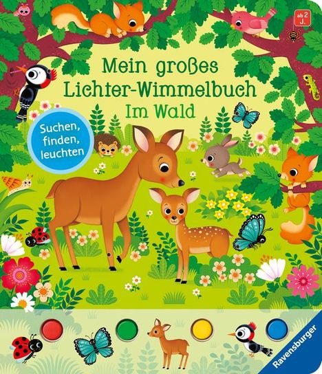 Sandra Grimm: Mein großes Lichter-Wimmelbuch: Im Wald, Buch
