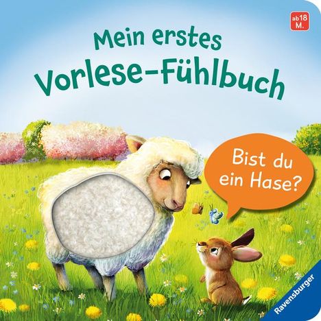 Kathrin Lena Orso: Mein erstes Vorlese-Fühlbuch: Bist du ein Hase?, Buch