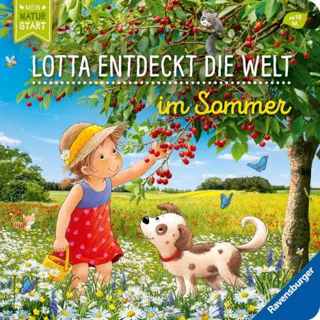 Sandra Grimm: Entdecke den Sommer mit Lotta, Buch